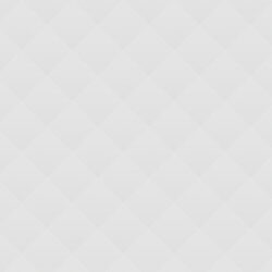 Visionary Leadership